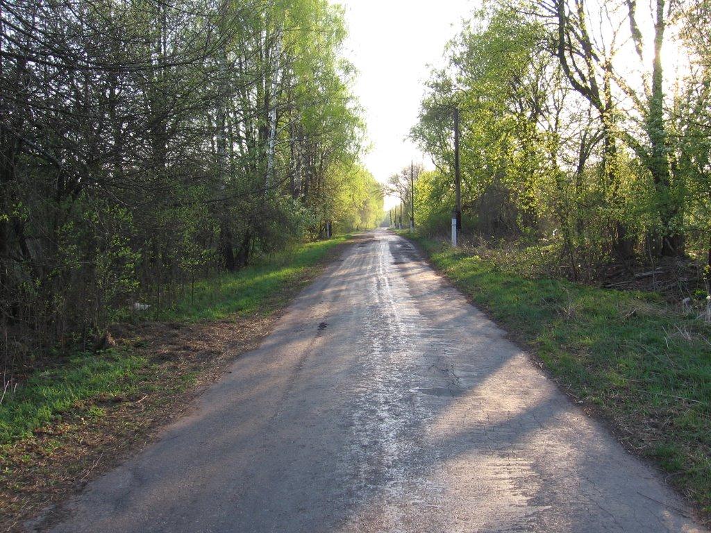 Ракужа з panoramio.com - Ракужа