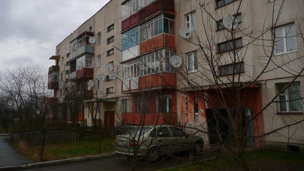 Кам'янка-Бузька з panoramio.com - Каменка-Бугская