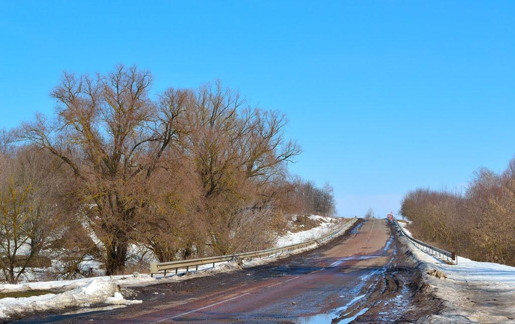 Бобрик з panoramio.com - Bobryk