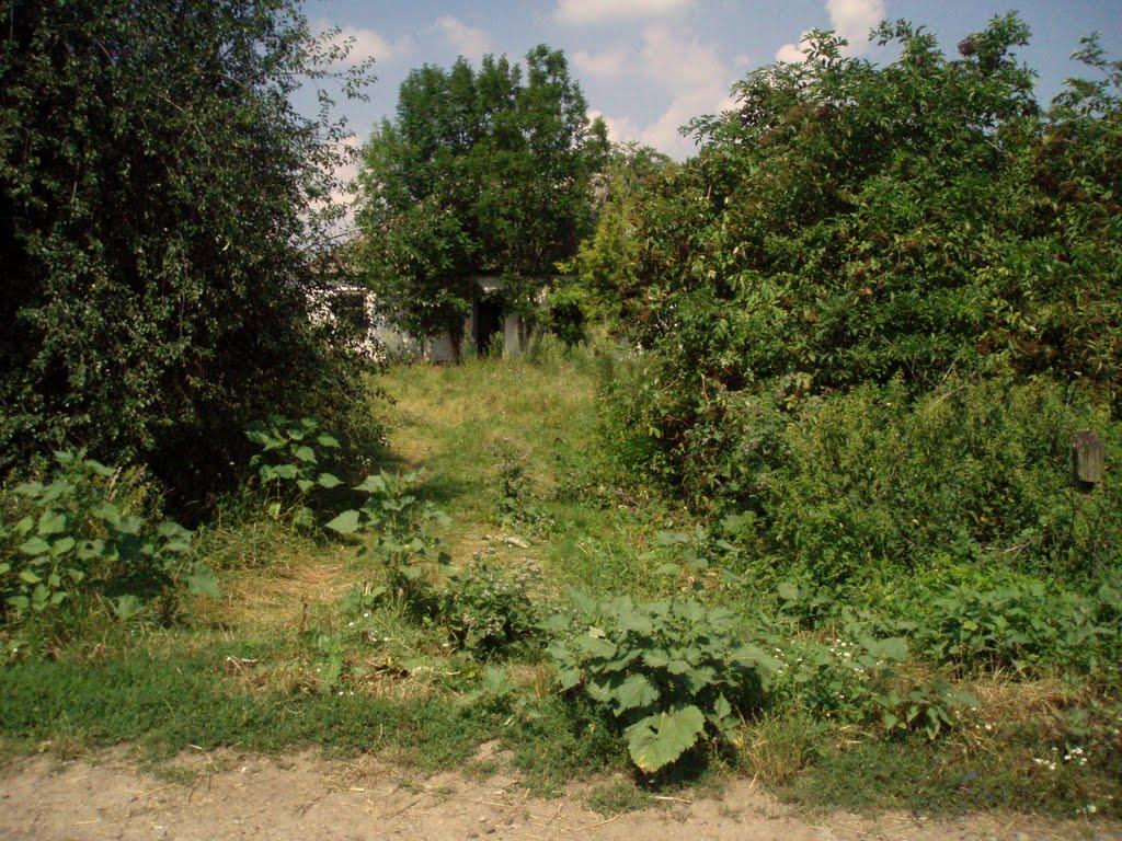 Новопостроїне з panoramio.com - Новопостроїне