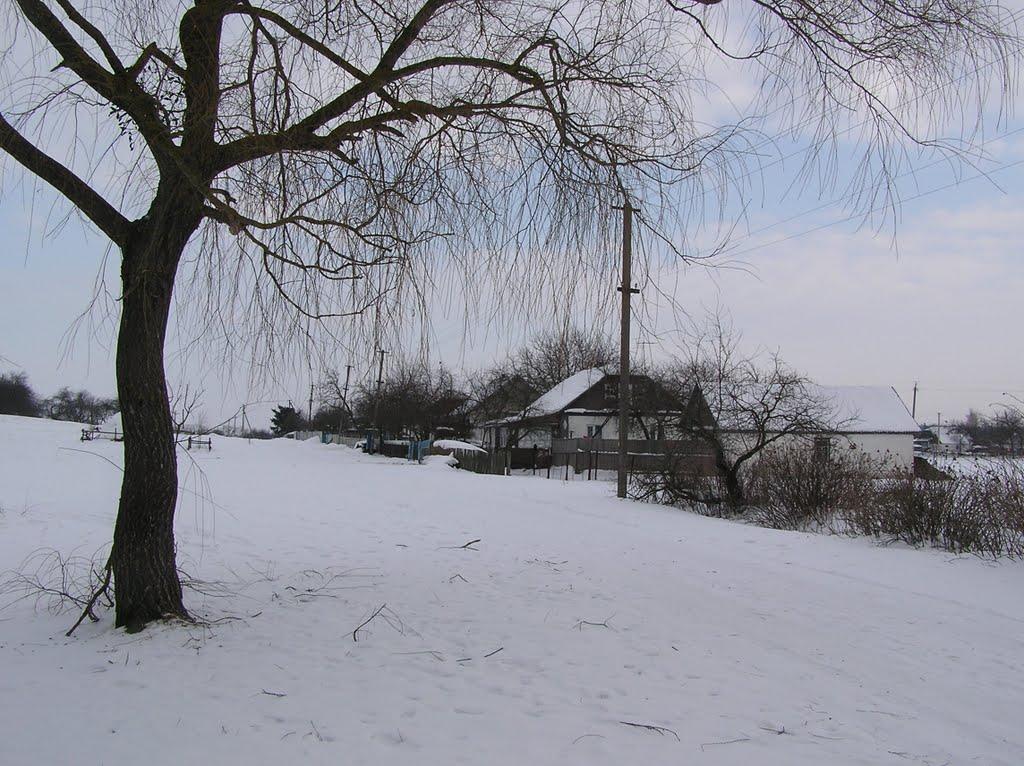 Горщик з panoramio.com - Горщик