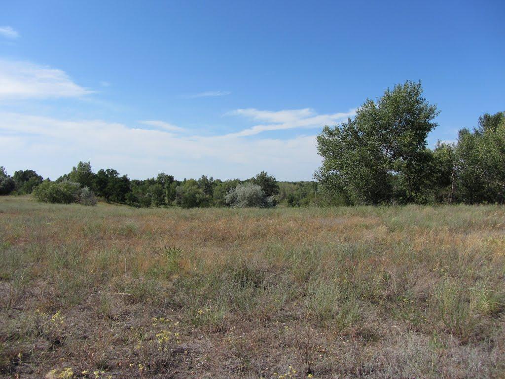Світловодськ з panoramio.com (ч.2) - Світловодськ