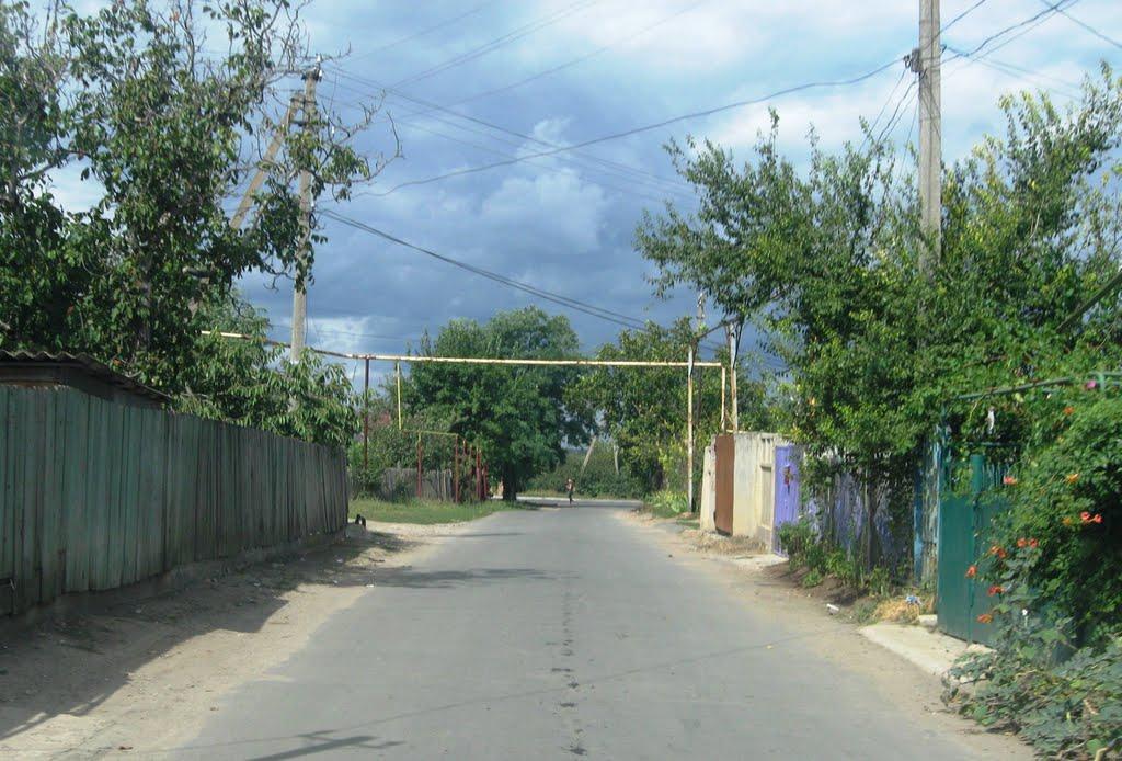 Олександрівка з panoramio.com - Олександрівка