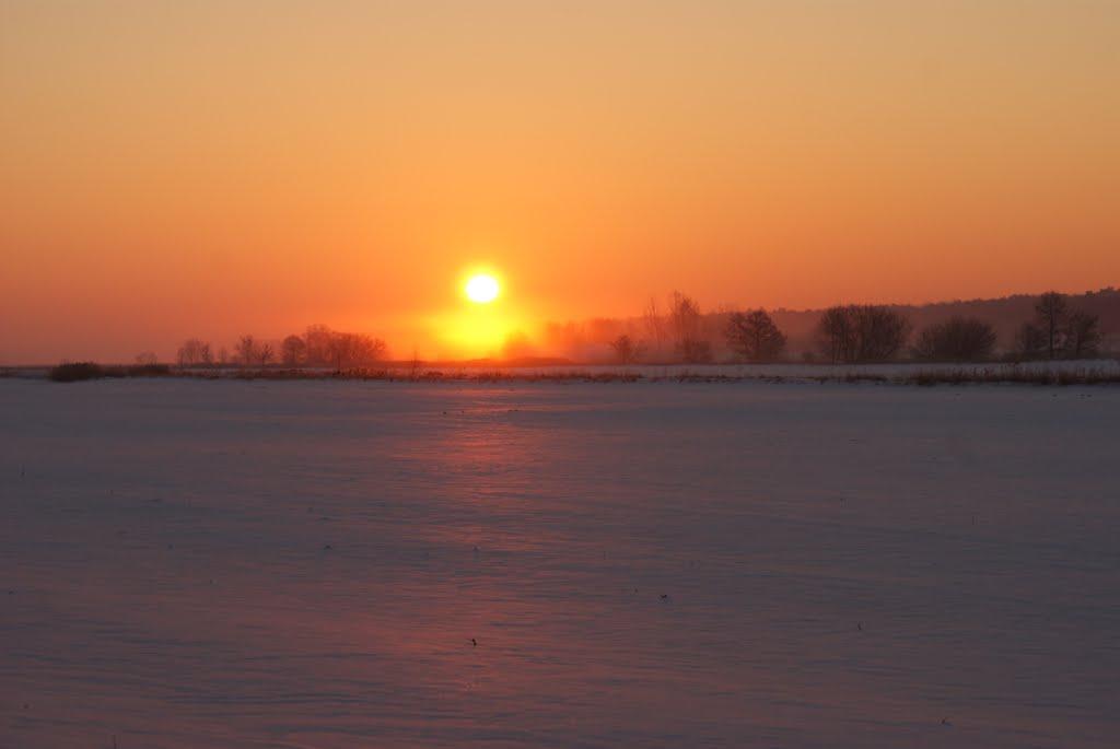 Соснівка з panoramio.com - Sosnivka