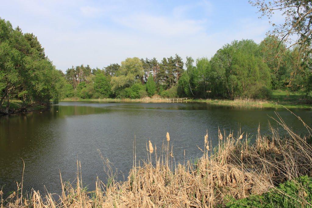 Красний Колядин з panoramio.com - Красний Колядин