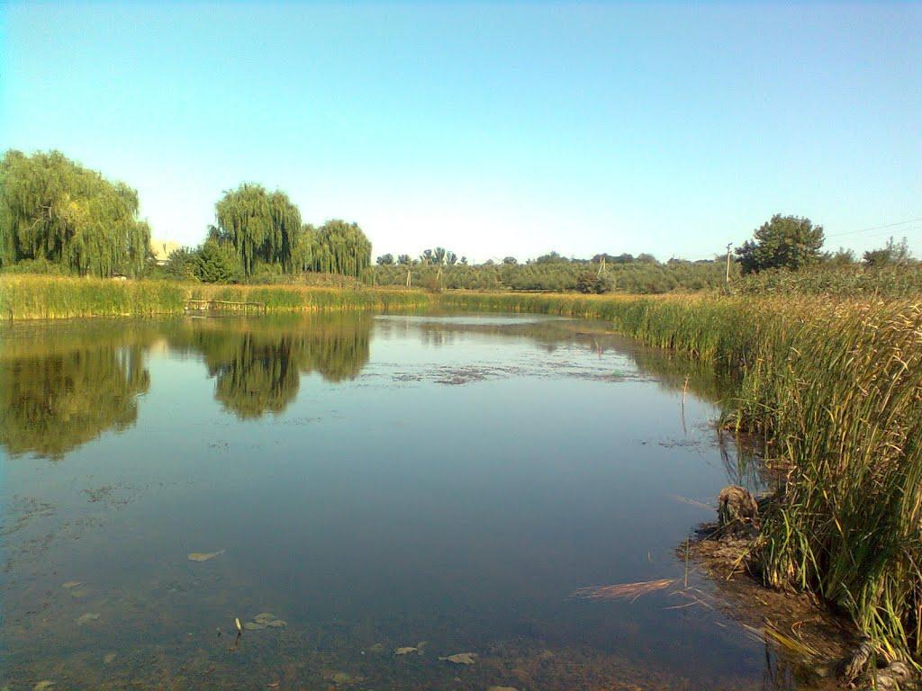 Перемога з panoramio.com - Peremoga