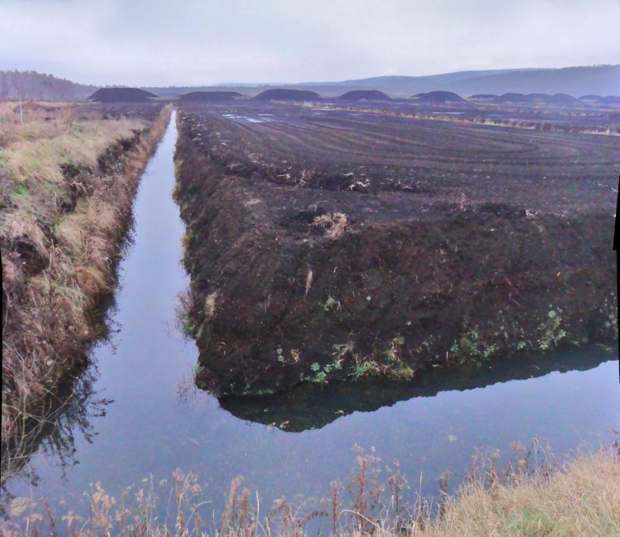 Мале Старосілля з panoramio.com - Мале Старосілля