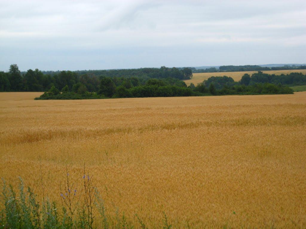 Проходи з panoramio.com - Проходы