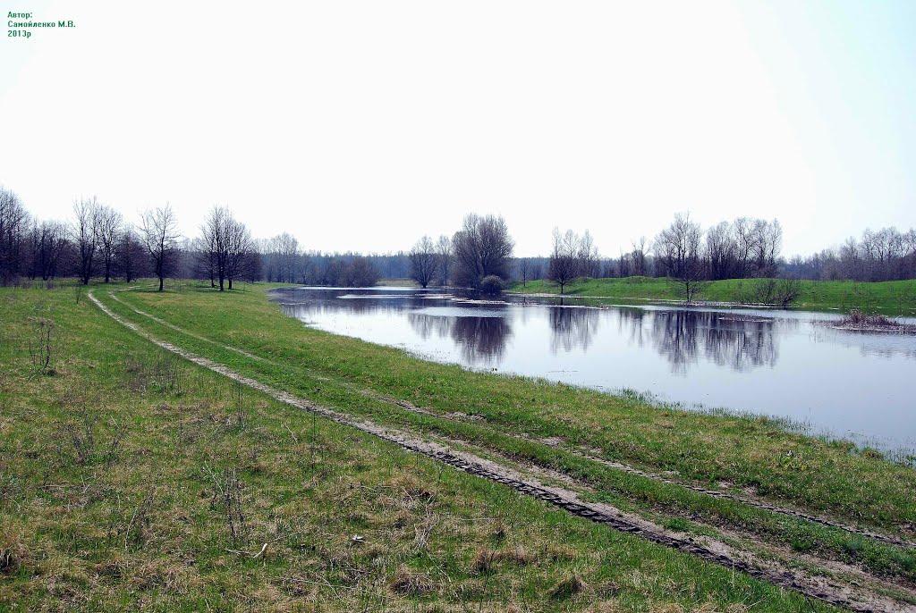 Приліпка з panoramio.com - Прилипка