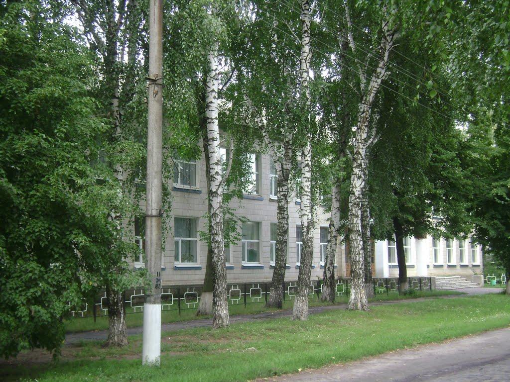 Василівка з panoramio.com - Vasylivka