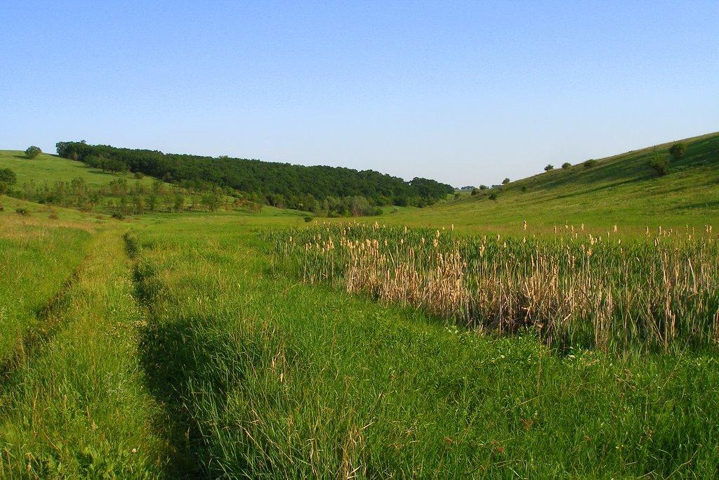 Дубово-Василівка з panoramio.com - Дубово-Василівка