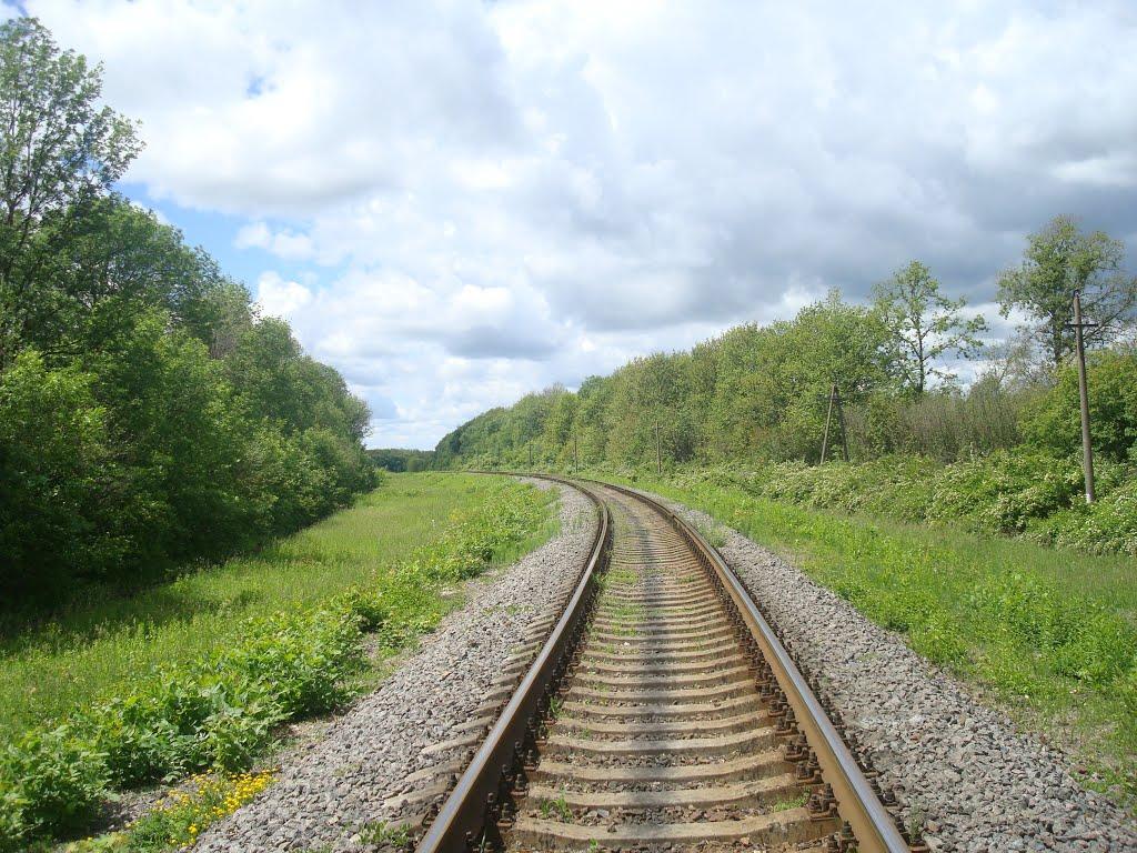 Жищинці з panoramio.com - Жищинці