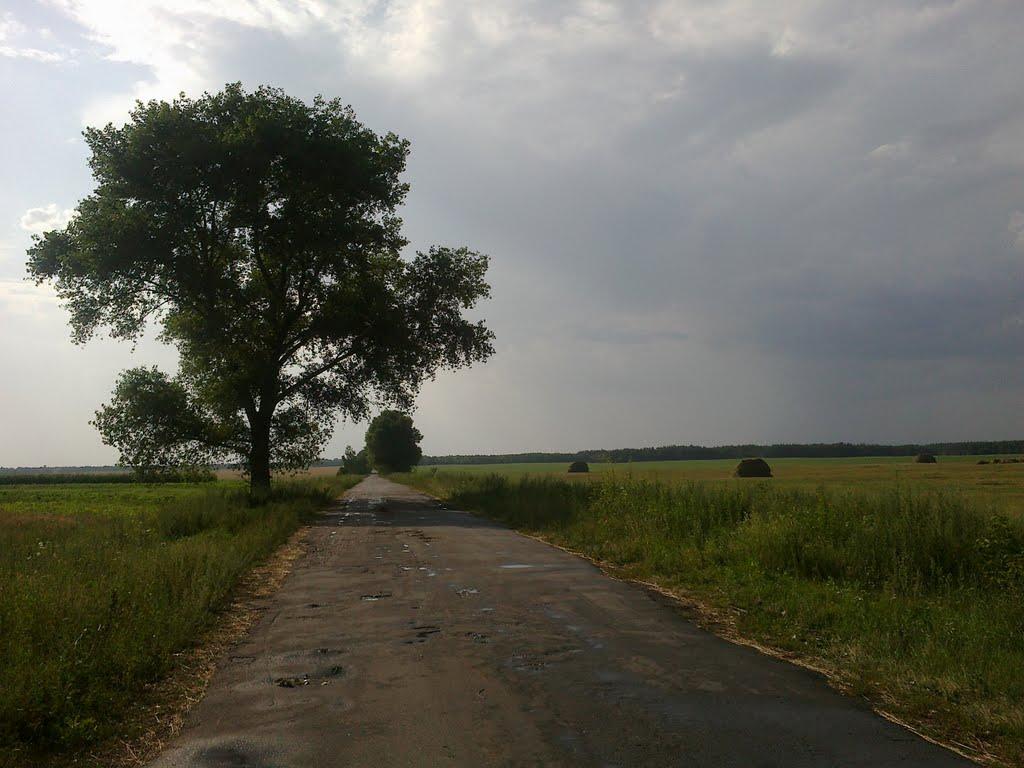 Лісконоги з panoramio.com - Лесконоги