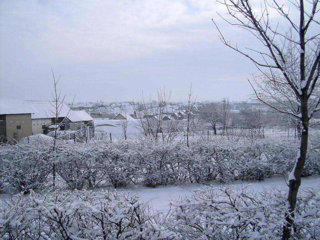 Дерцен з panoramio.com - Дерцен