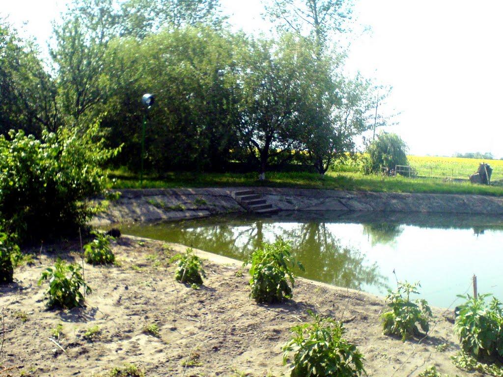 Заплавка з panoramio.com - Заплавка