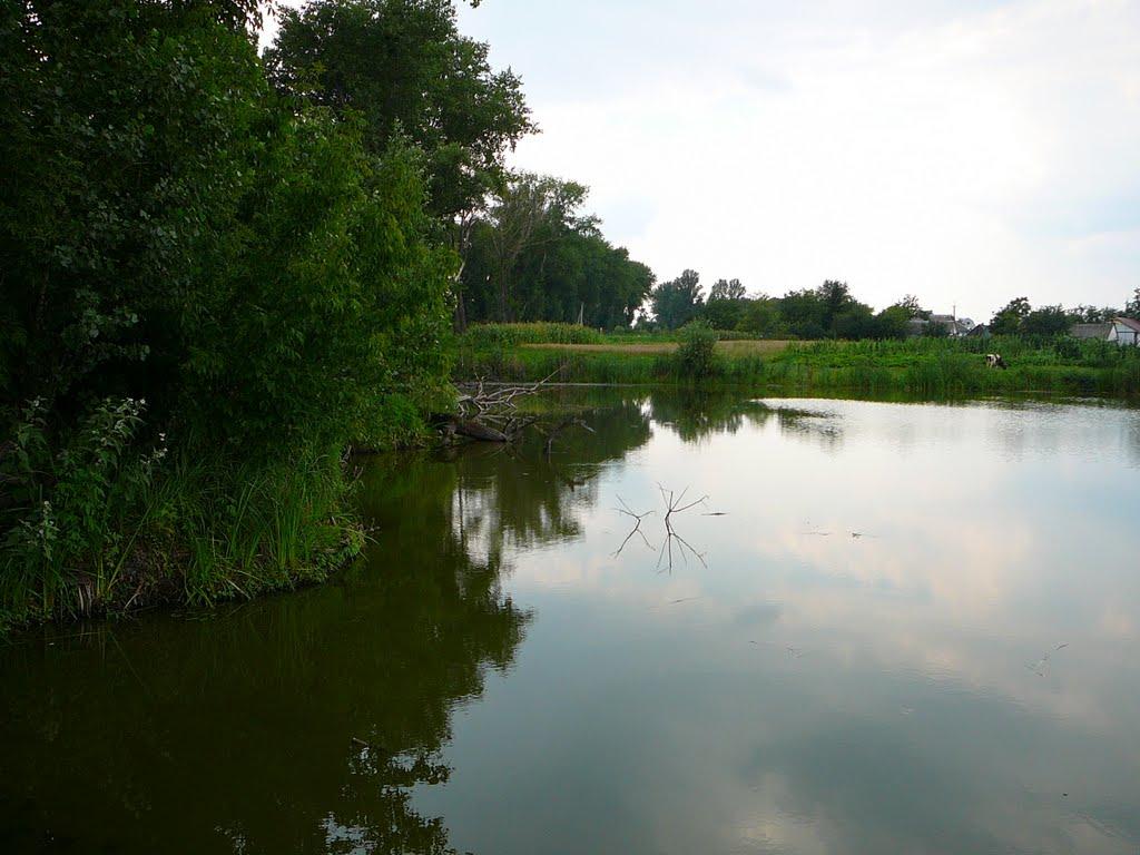 Мар'янівка з panoramio.com - Maryanivka