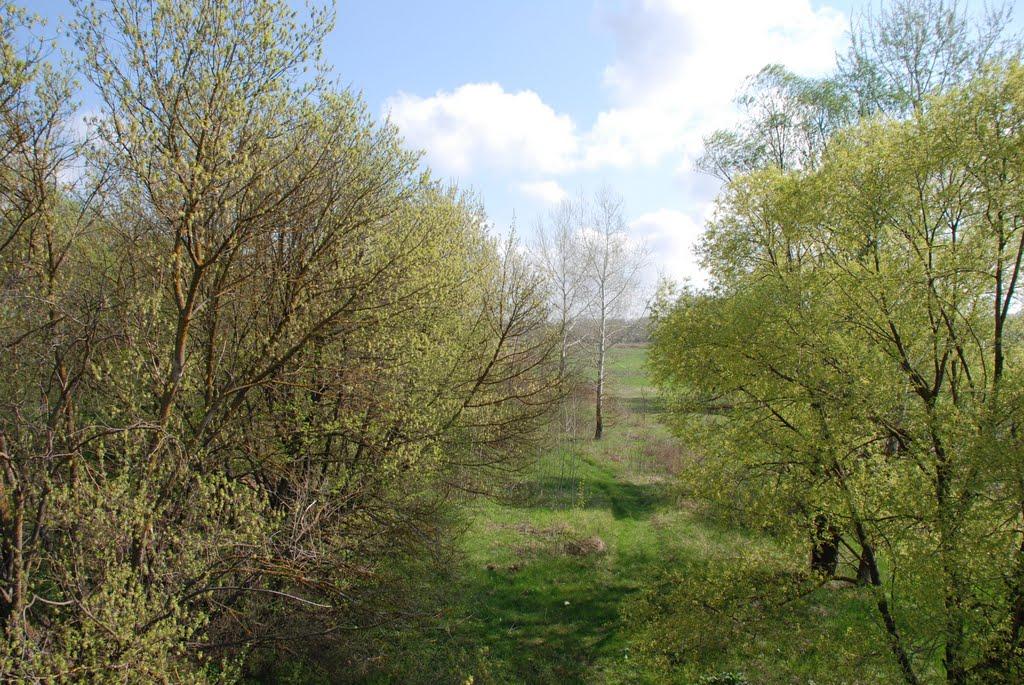Байрак з panoramio.com - Байрак
