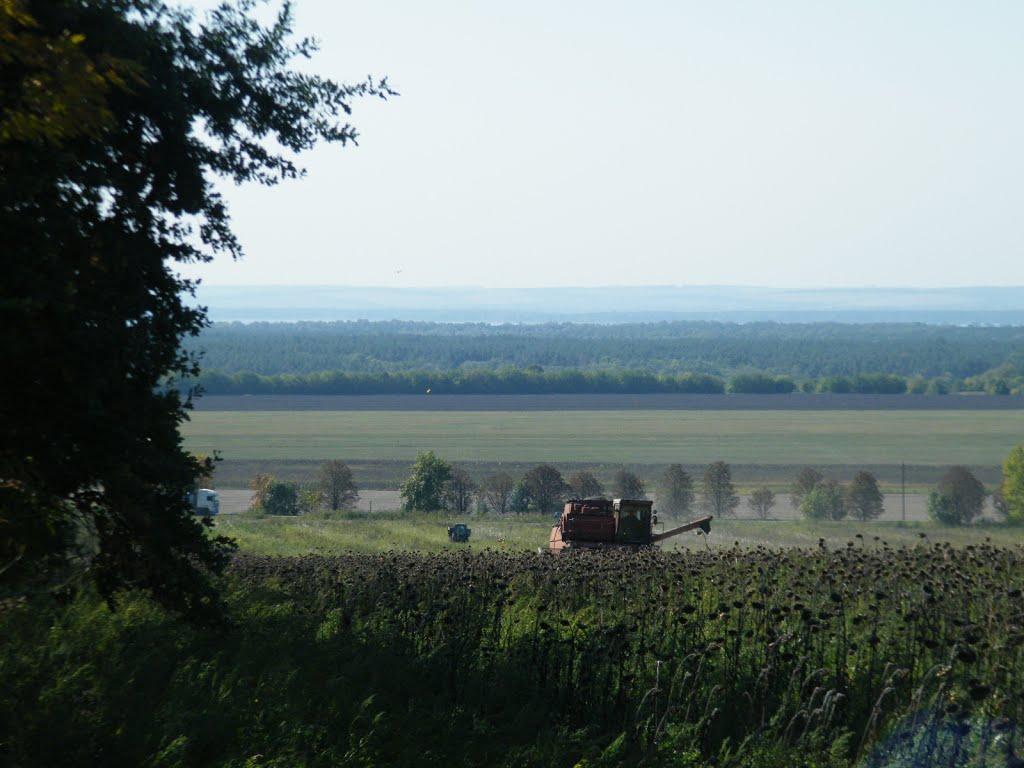 Солошине з panoramio.com - Солошино