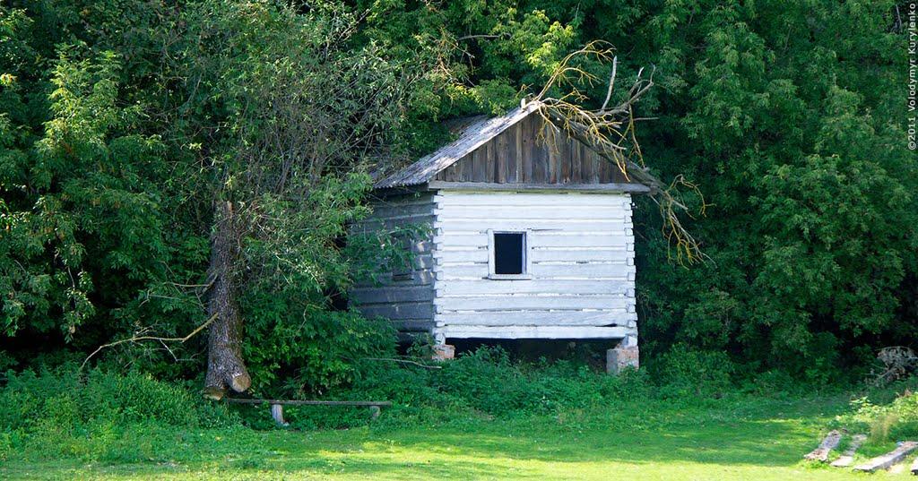 Мезин з panoramio.com - Мезин