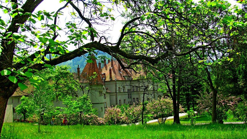 Карпати з panoramio.com - Карпаты