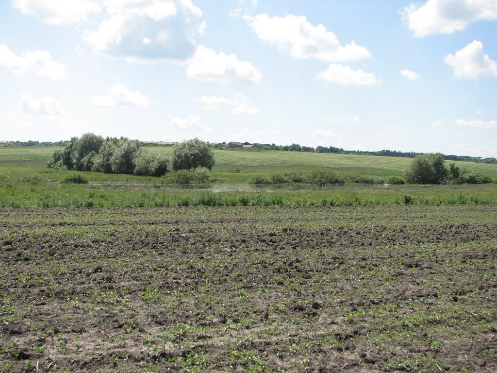 Давидківці з panoramio.com - Давидківці