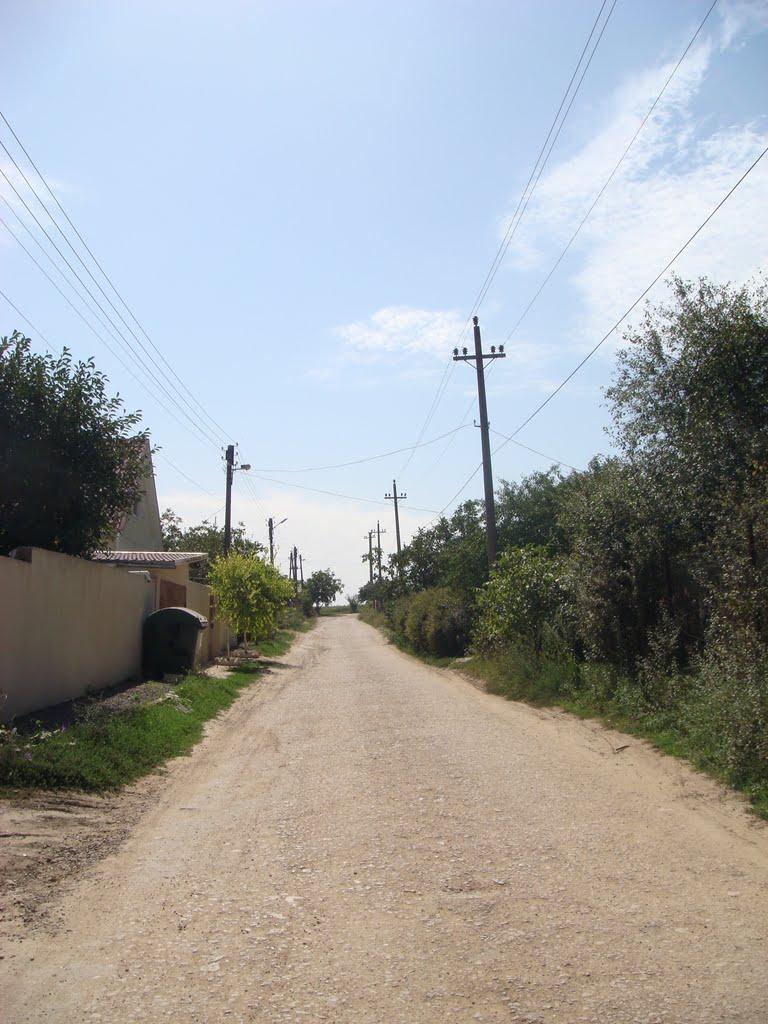 Сухий Лиман з panoramio.com - Сухий Лиман