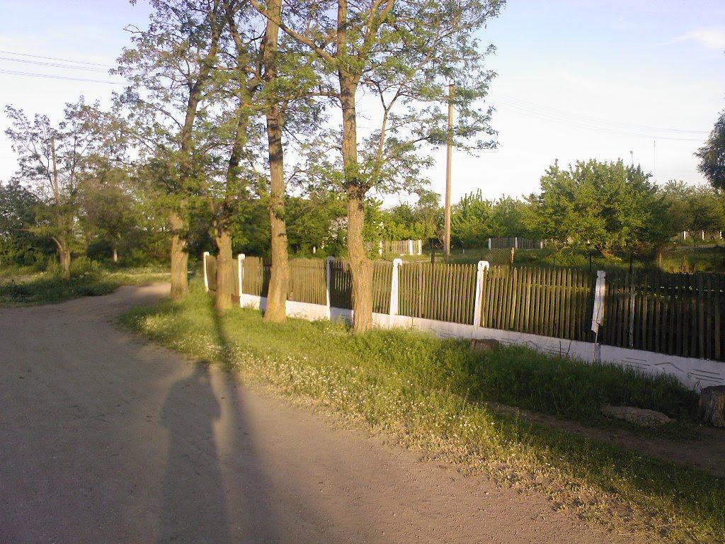 Зернове з panoramio.com - Зернове