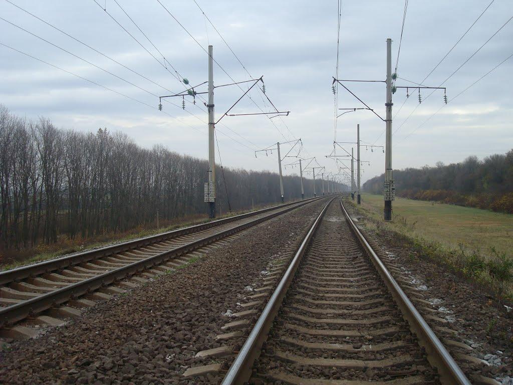 Лозова з panoramio.com - Лозова