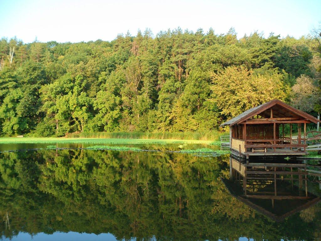 Коропове з panoramio.com - Коропово