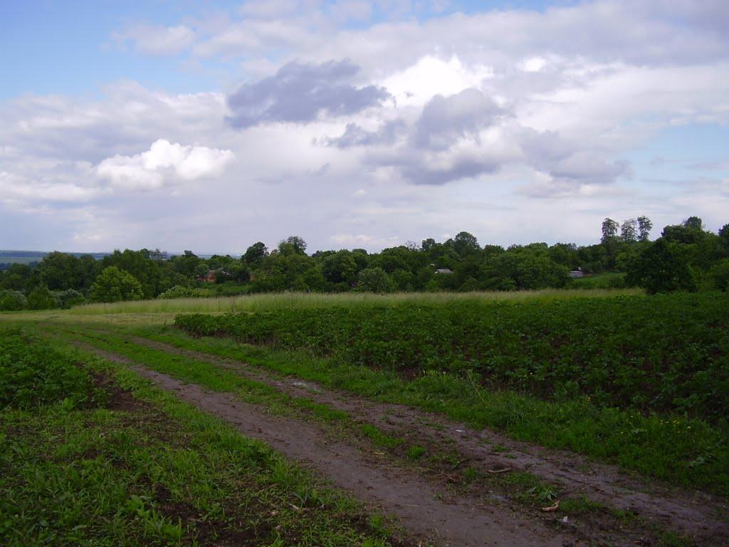 Коржівці з panoramio.com - Коржевцы