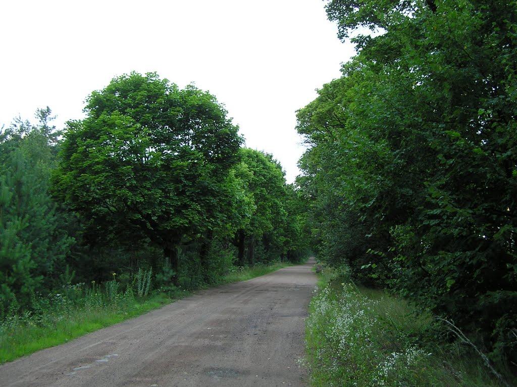 Горщик з panoramio.com - Горщик
