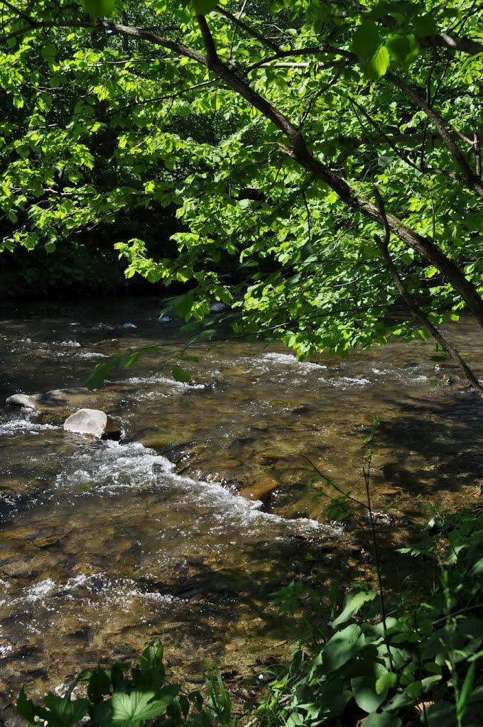 Суха з panoramio.com - Суха