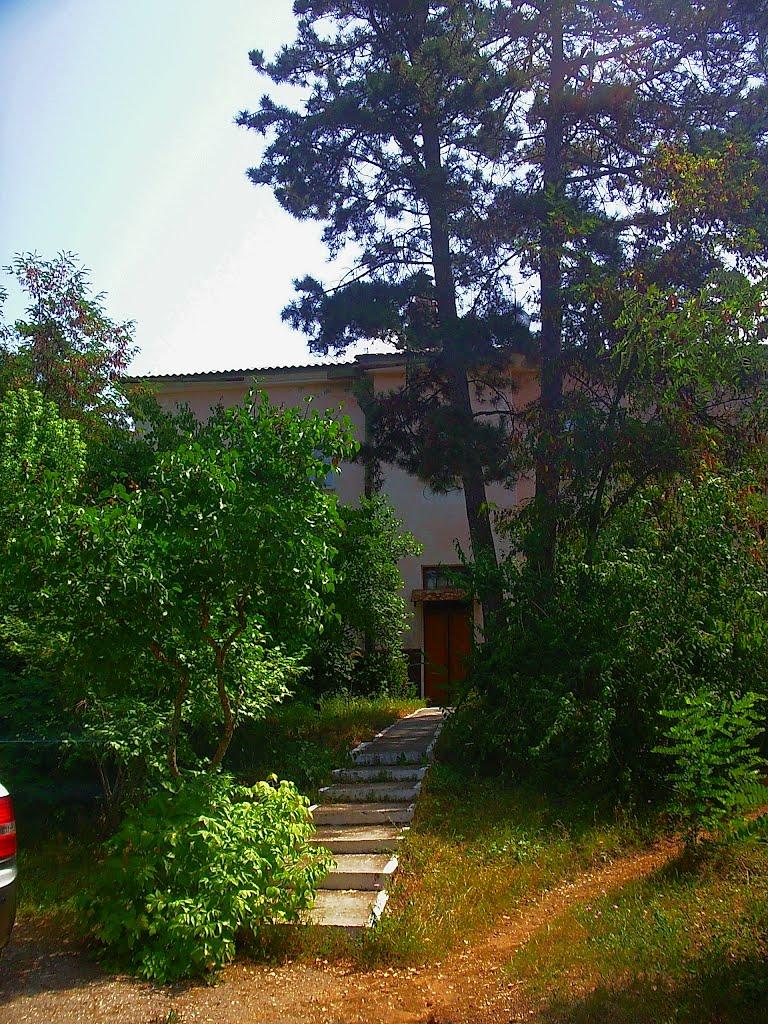 Научний з panoramio.com - Научный