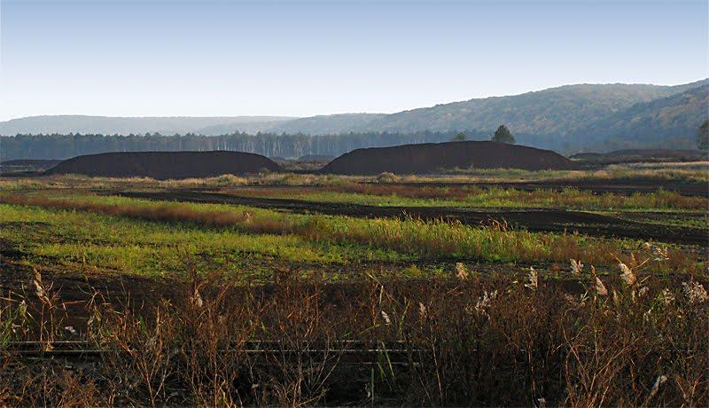 Мале Старосілля з panoramio.com - Мале Старосілля