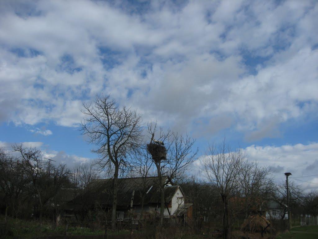 Грабине з panoramio.com - Грабине