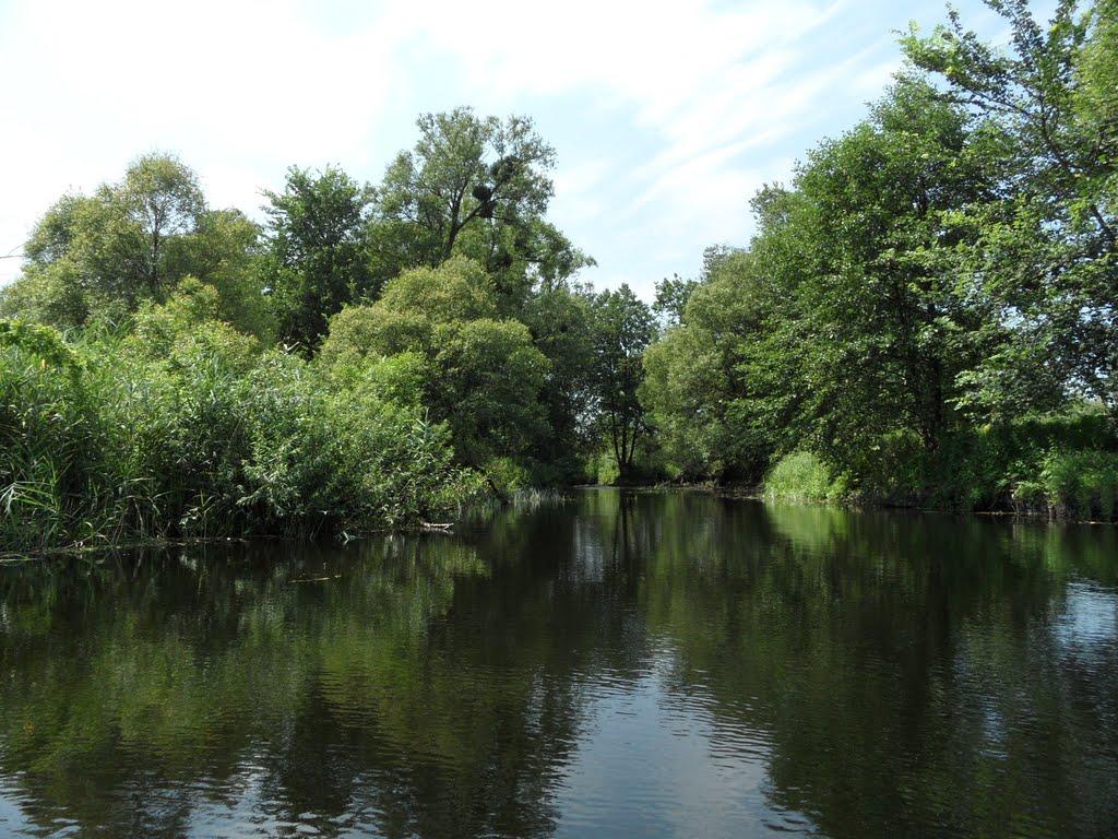 Литовка з panoramio.com - Литовка