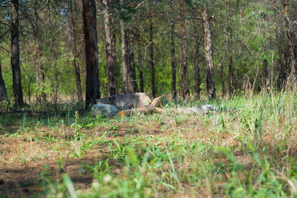 Орджонікідзе з panoramio.com - Орджоникидзе