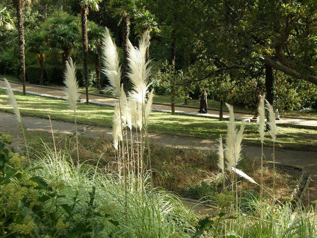 Курпати з panoramio.com - Курпати