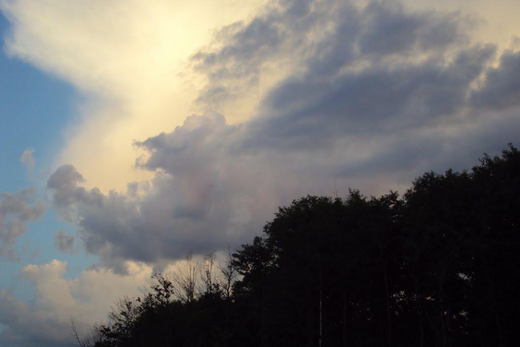 Озеряни з panoramio.com - Озеряни