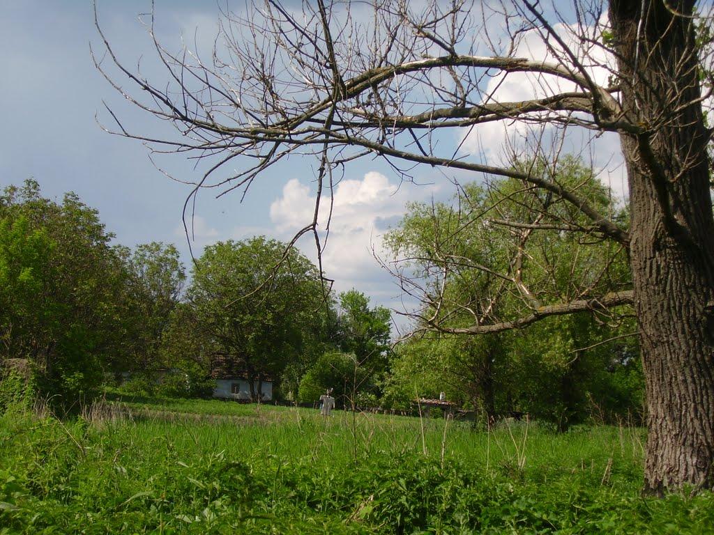 Олексіївка з panoramio.com - Алексеевка