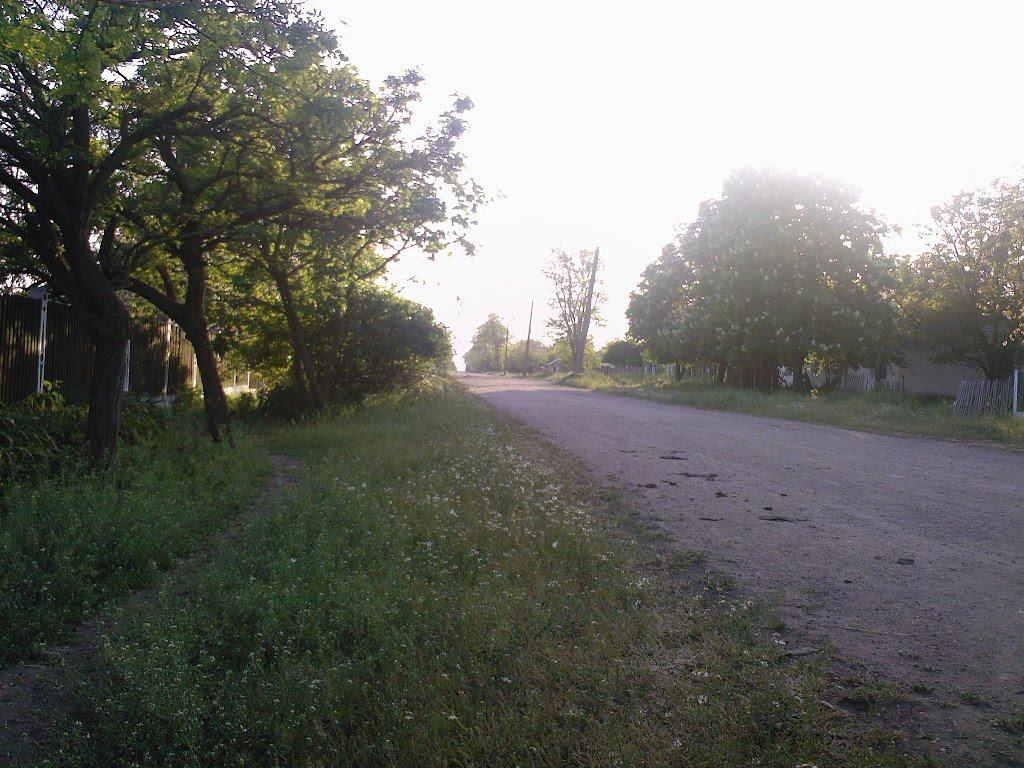 Зернове з panoramio.com - Зернове