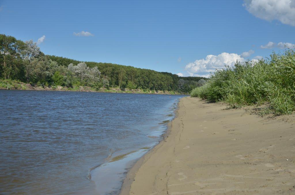 Салтикова Дівиця з panoramio.com - Saltykova Divytsya