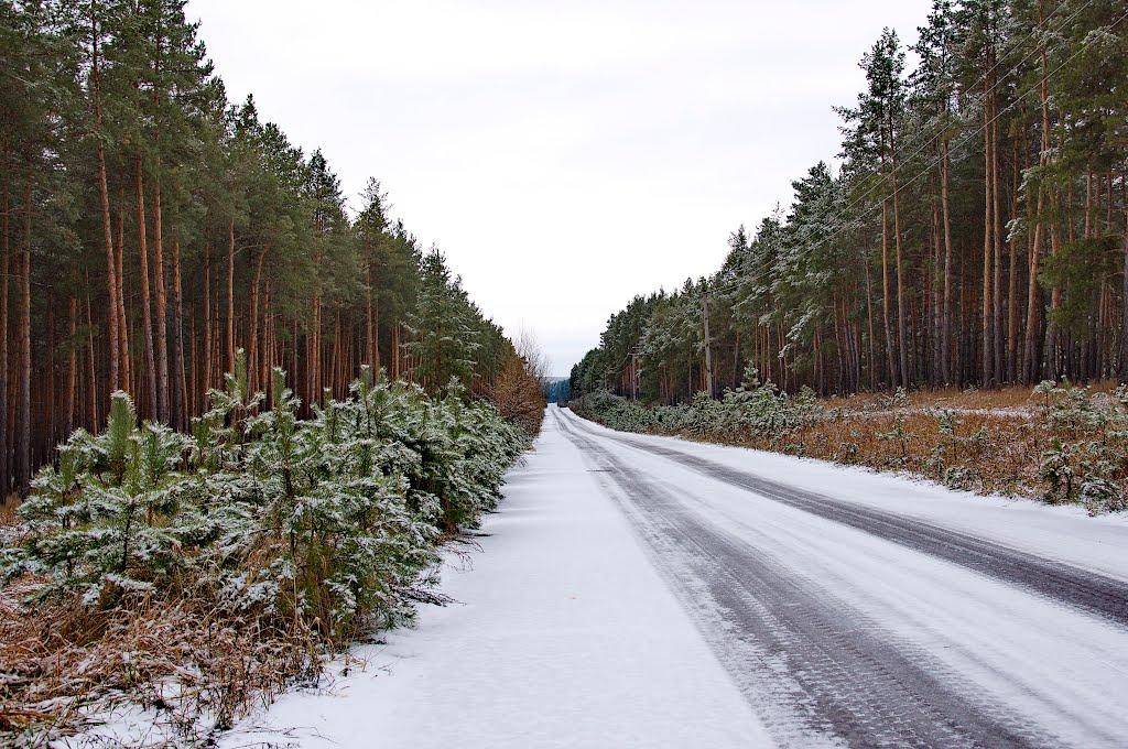 Шипилівка з panoramio.com - Shypylivka