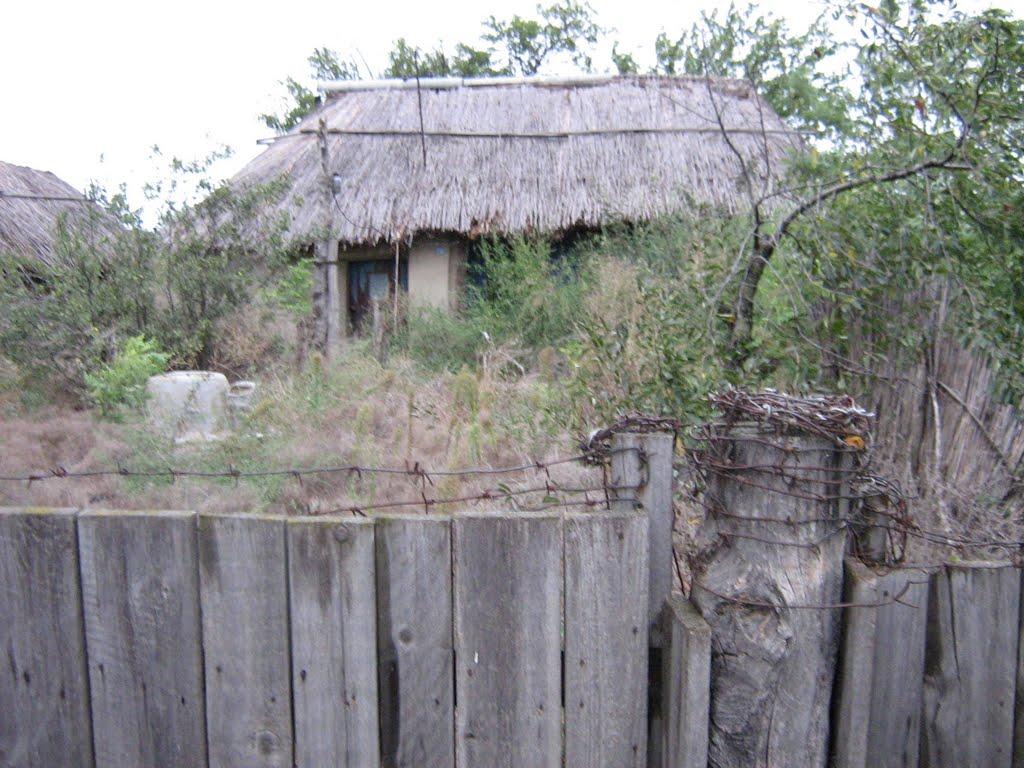 Орлівка з panoramio.com - Orlivka