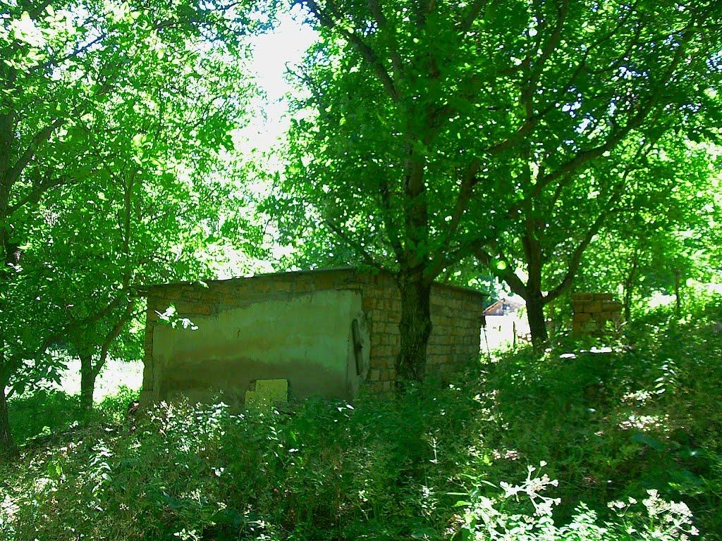 Краснолісся з panoramio.com - Краснолісся