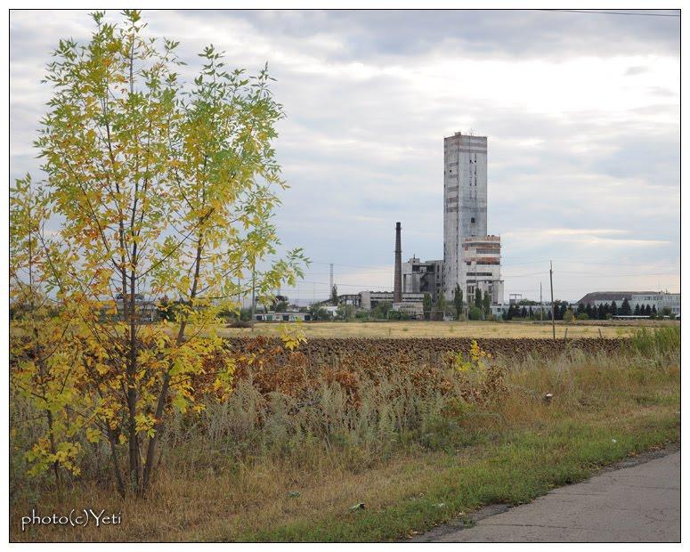 Малий Суходіл з panoramio.com - Малый Суходол