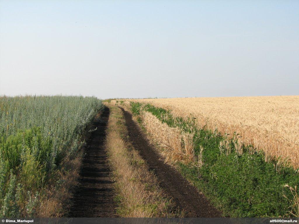 Куликівське з panoramio.com - Куликовское