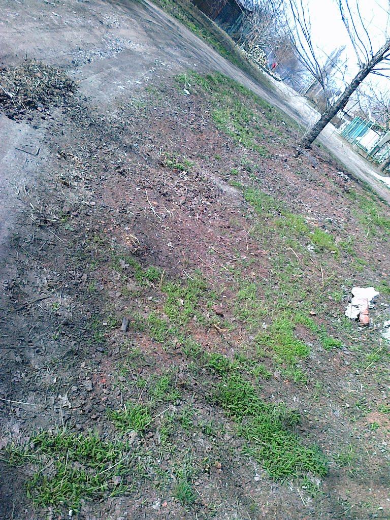 Брянка з panoramio.com (ч.2) - Брянка