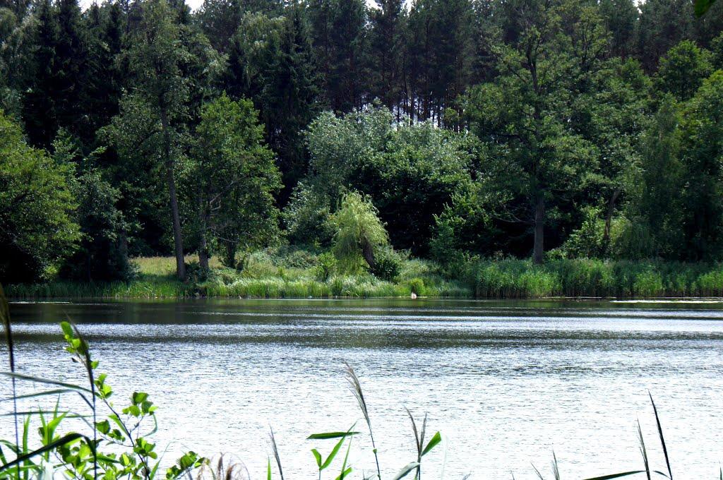 Городок з panoramio.com - Городок