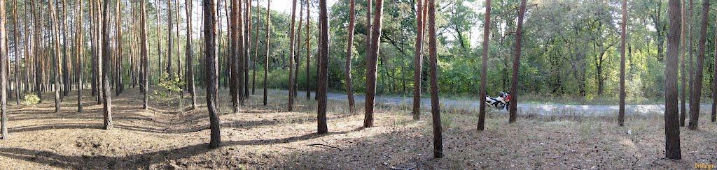 Старий Караван з panoramio.com - Старий Караван